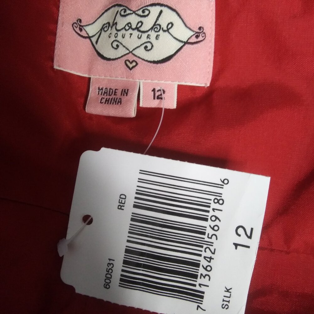 NWOT Phoebe Couture dress size 12 Asian theme Cocktail dress Elegant beautiful - Picture 6 of 16